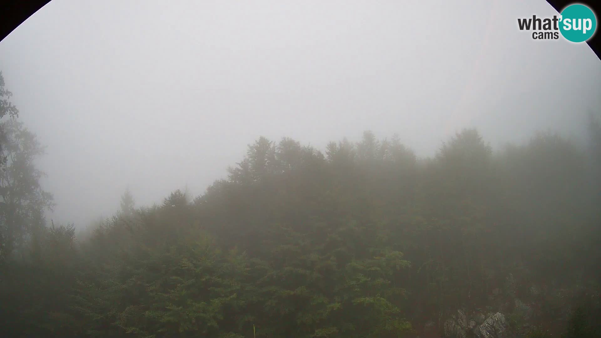 Webcam PLANINA RAZOR (1315) | Blick auf Vogel und Globoko