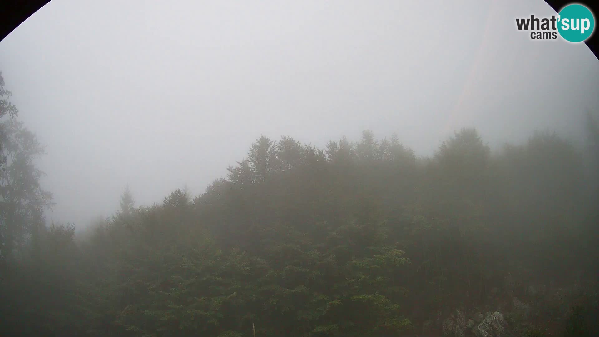 PLANINA RAZOR webcam (1315) | view to Vogel and Globoko