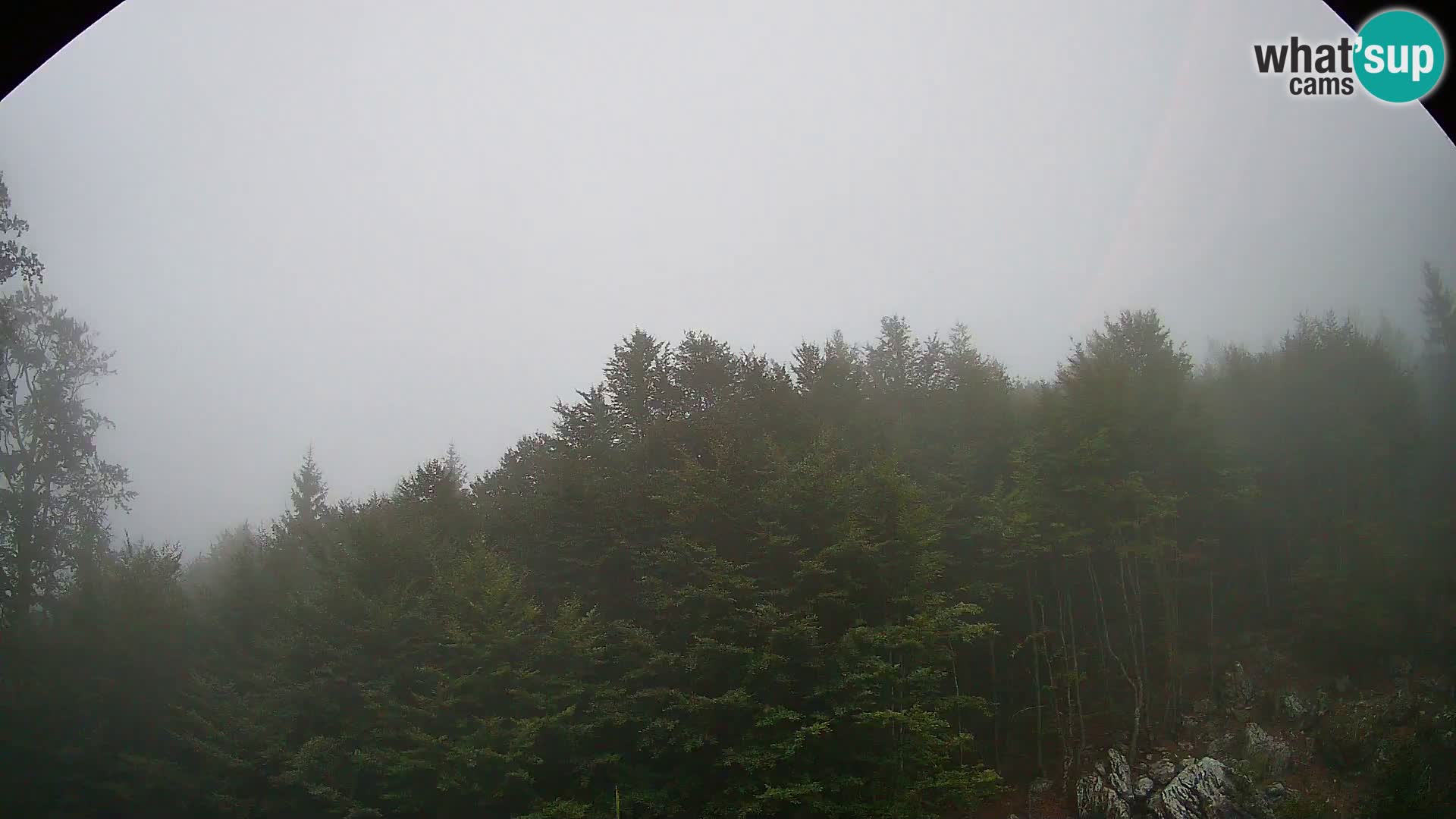 PLANINA RAZOR kamera (1315) | pogled na Vogel in Globoko