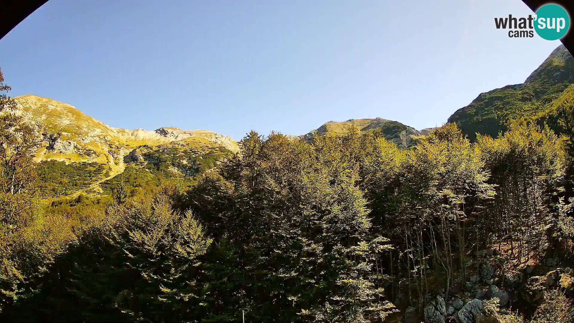Webcam PLANINA RAZOR (1315) | Blick auf Vogel und Globoko
