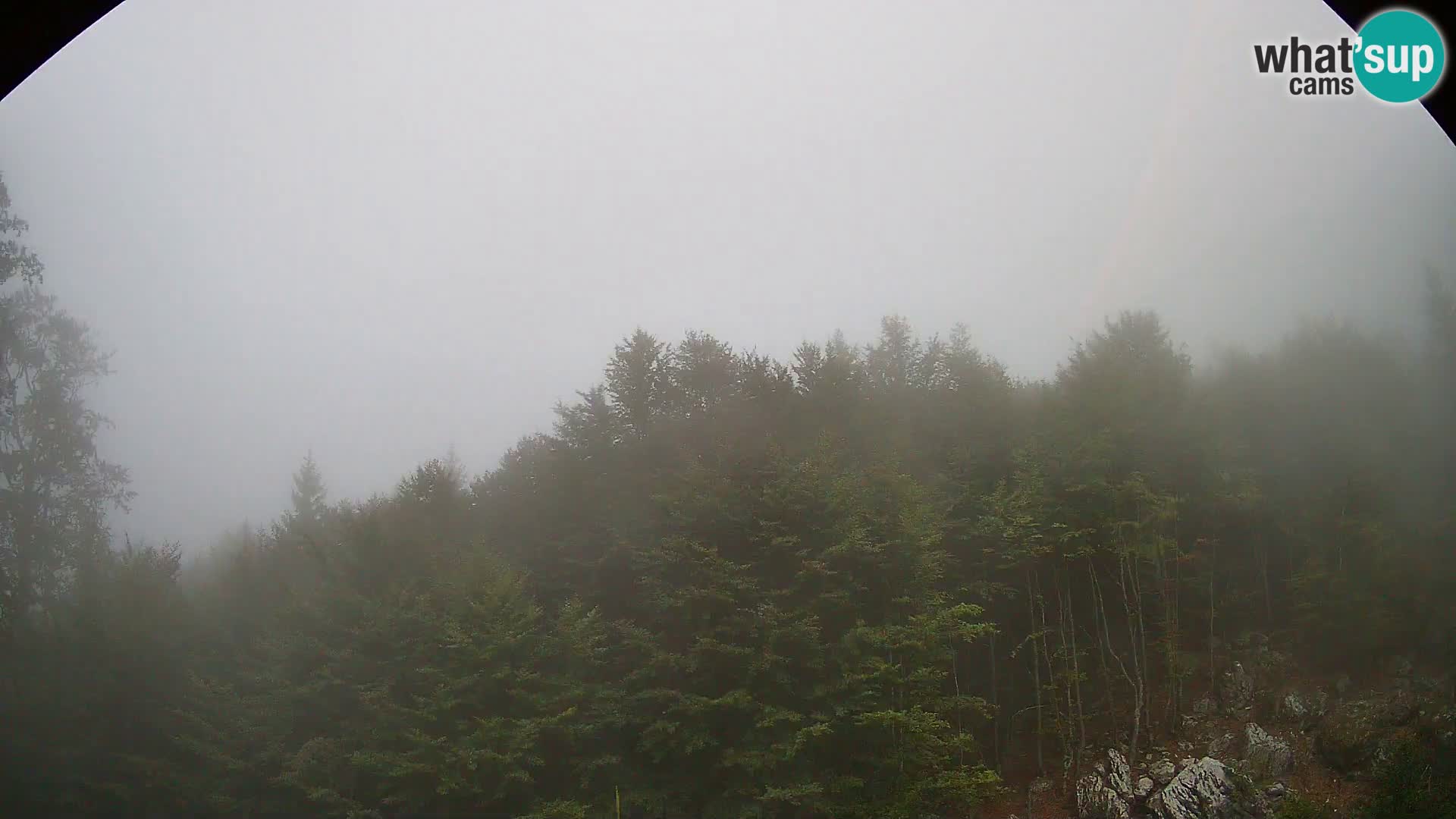PLANINA RAZOR web kamera (1315) | pogled na Vogel i Globoko