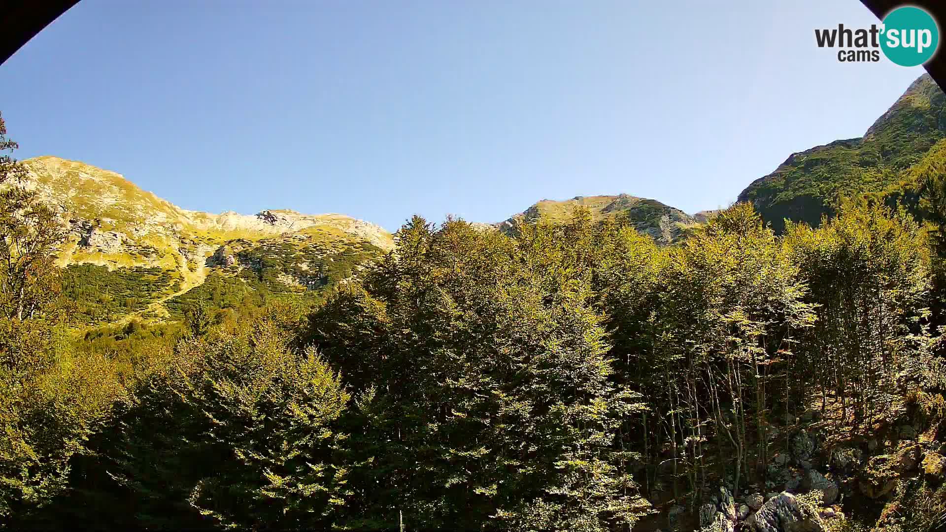 Webcam PLANINA RAZOR (1315) | Blick auf Vogel und Globoko