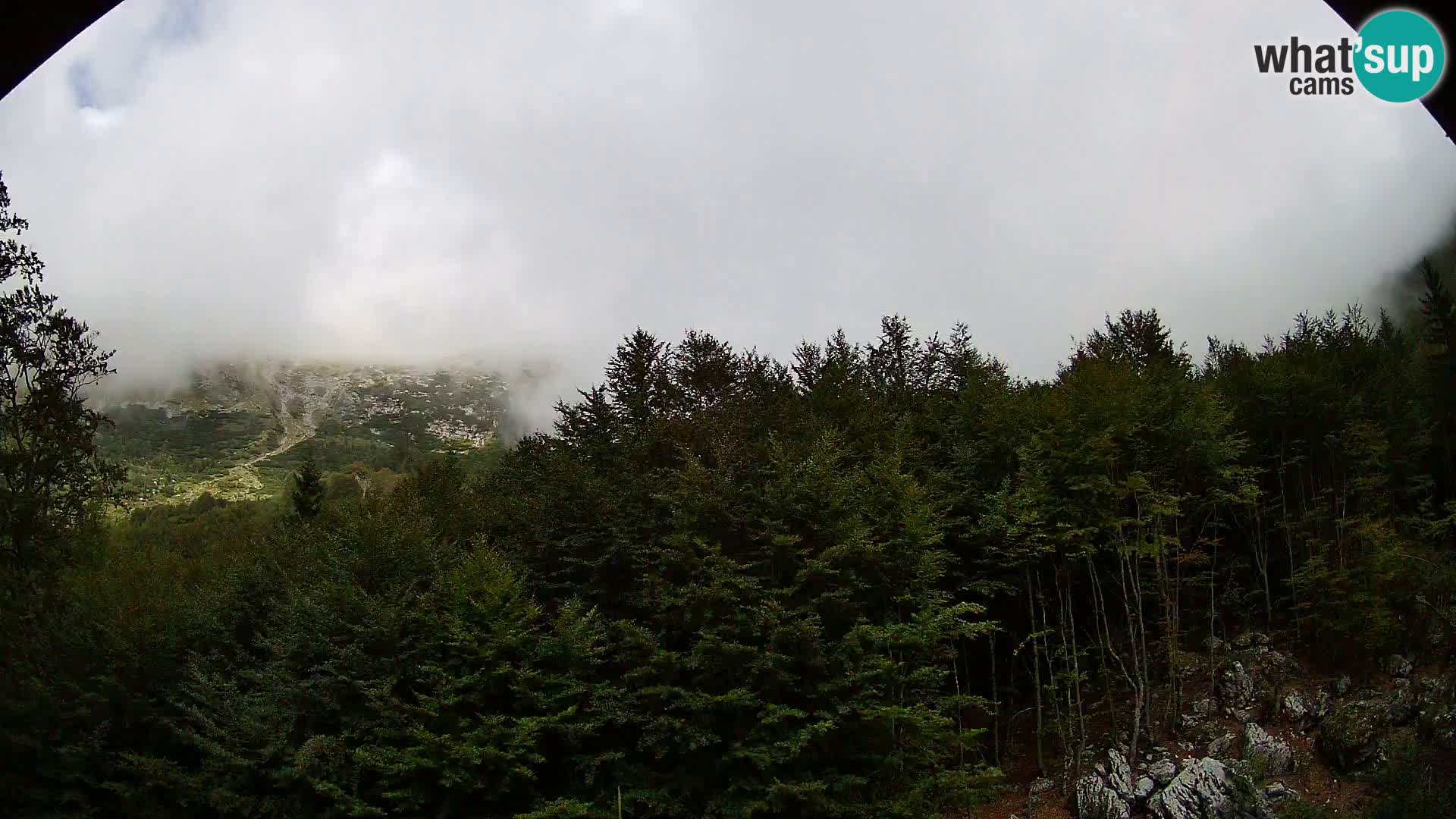 PLANINA RAZOR web kamera (1315) | pogled na Vogel i Globoko