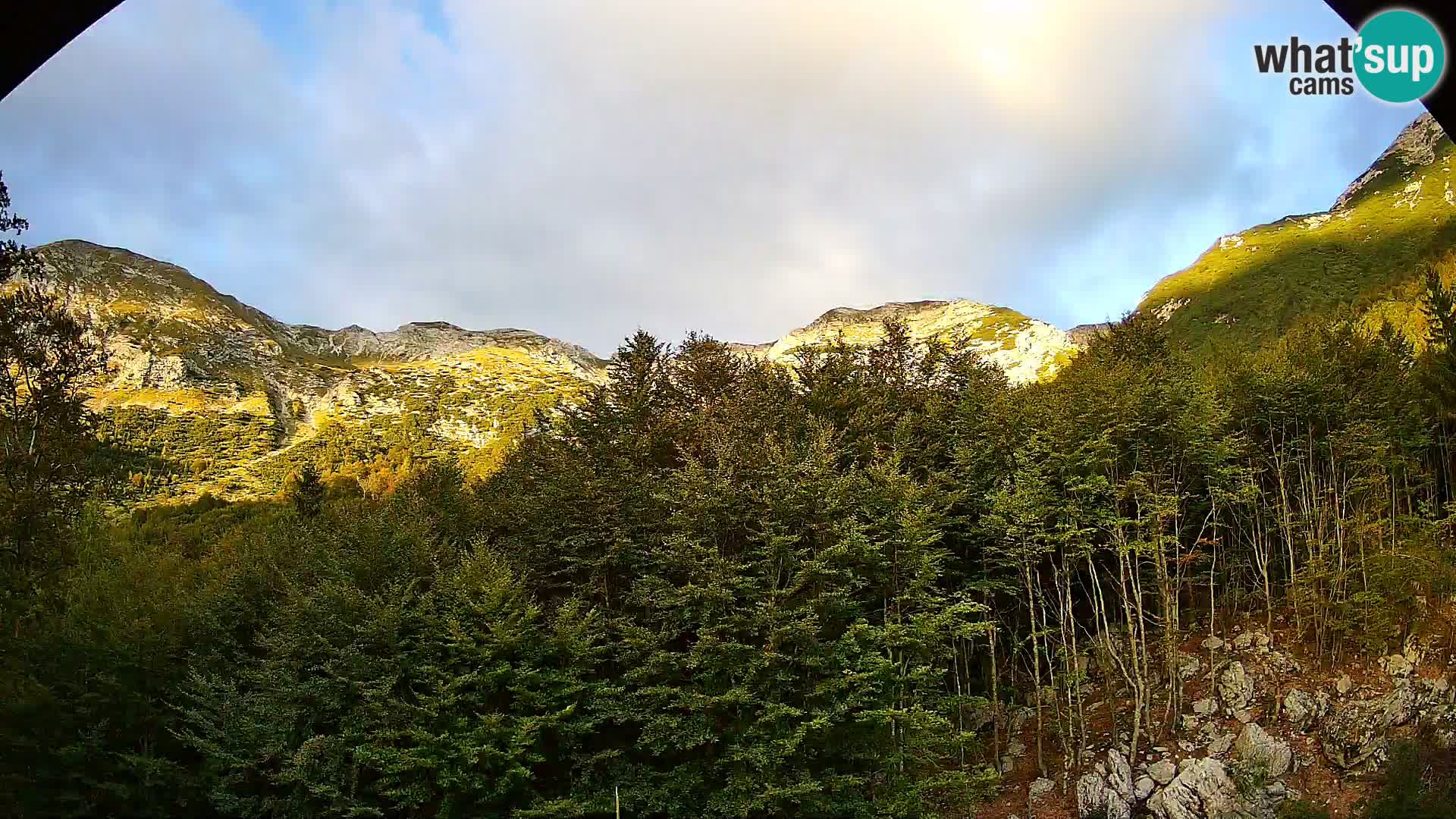 Webcam PLANINA RAZOR (1315) | Blick auf Vogel und Globoko