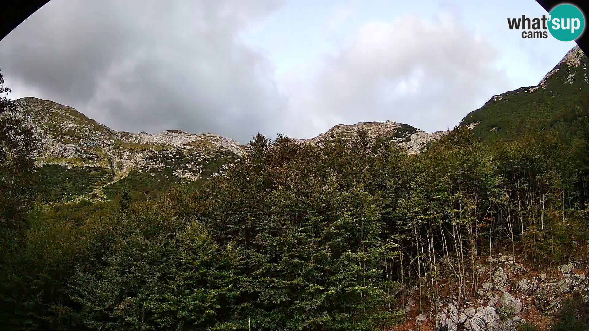 PLANINA RAZOR web kamera (1315) | pogled na Vogel i Globoko