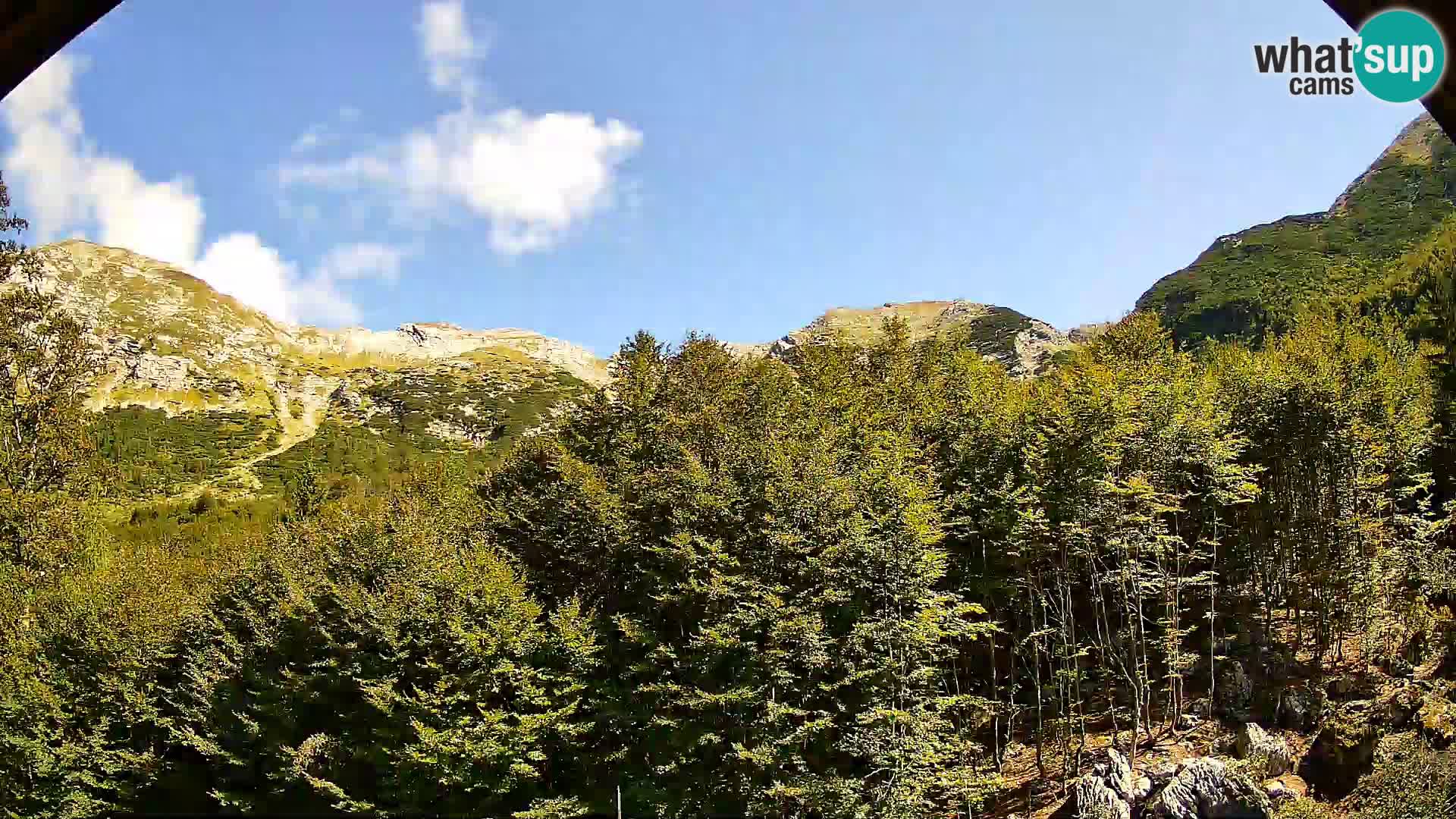 Livecam PLANINA RAZOR (1315) | vue sur Vogel et Globoko