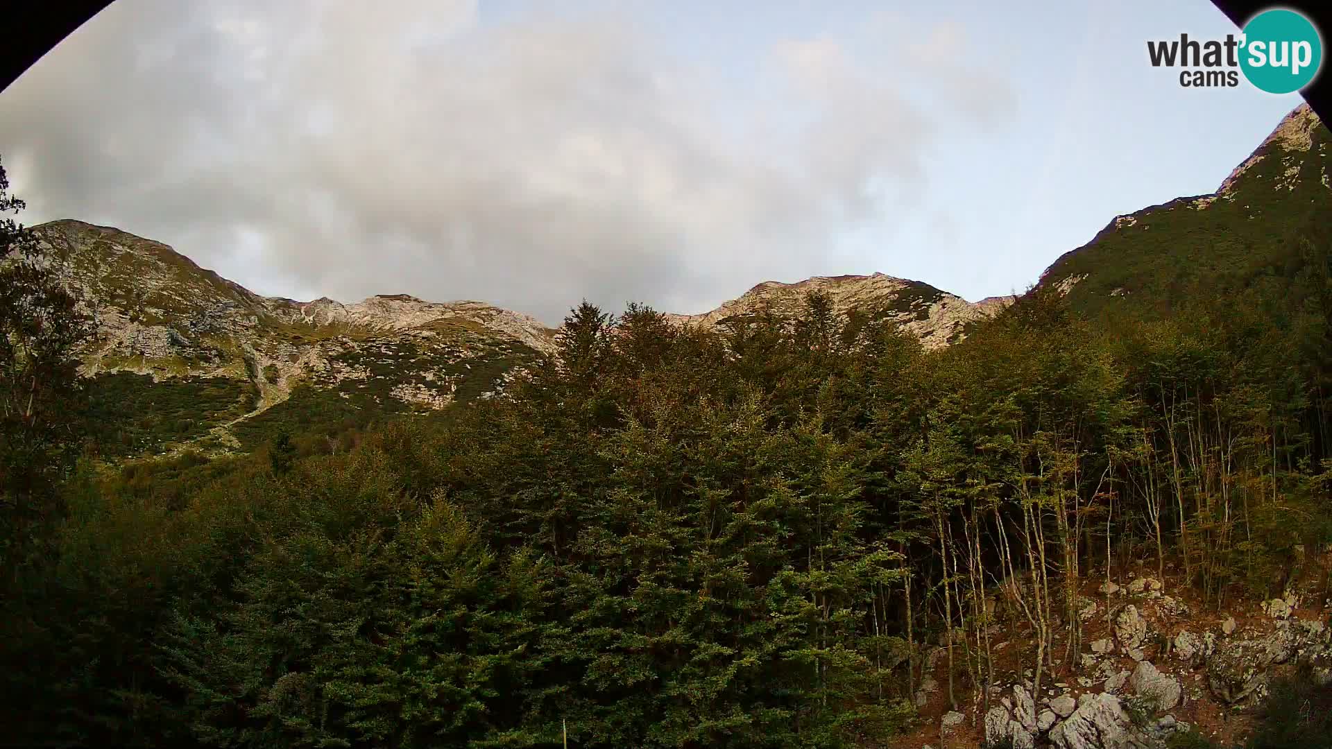 PLANINA RAZOR Live Cam (1315) | vista su Vogel e Globoko