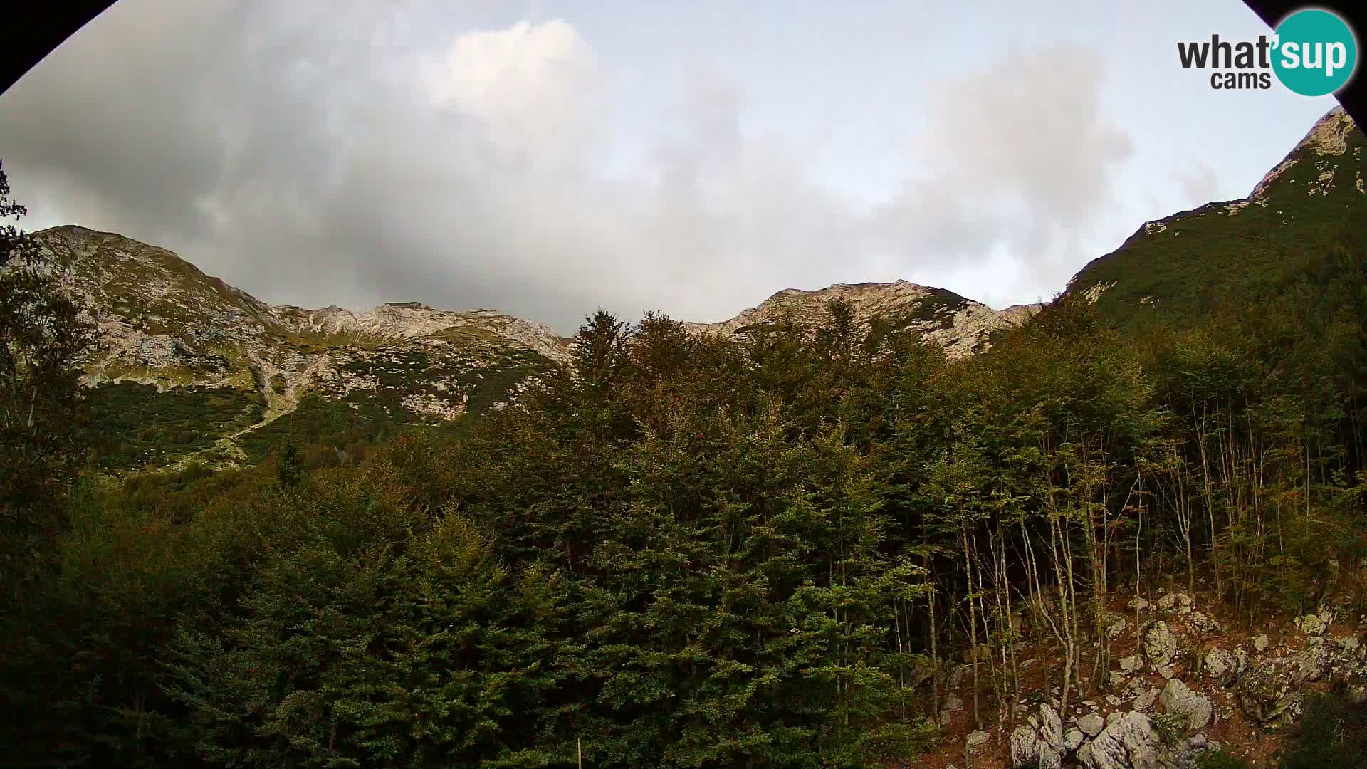 Livecam PLANINA RAZOR (1315) | vue sur Vogel et Globoko