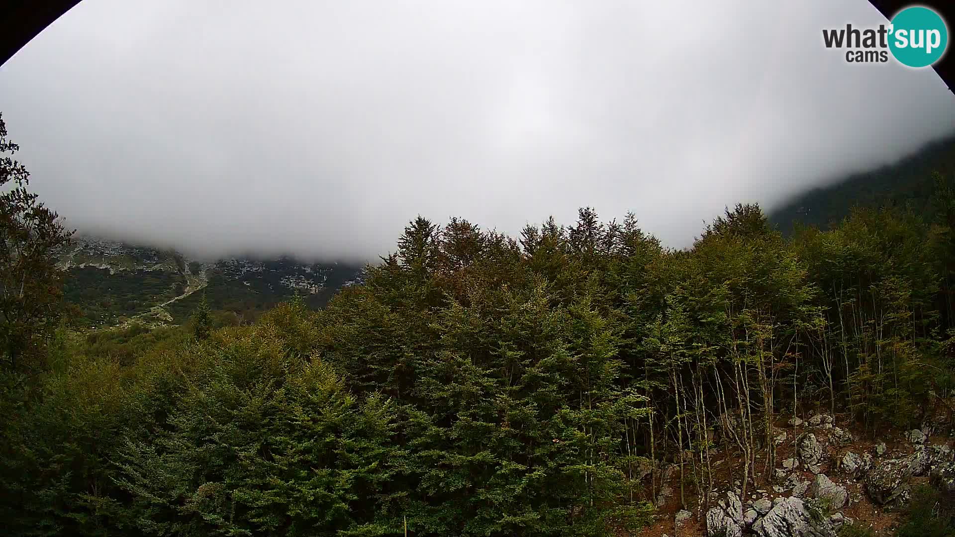 PLANINA RAZOR kamera (1315) | pogled na Vogel in Globoko