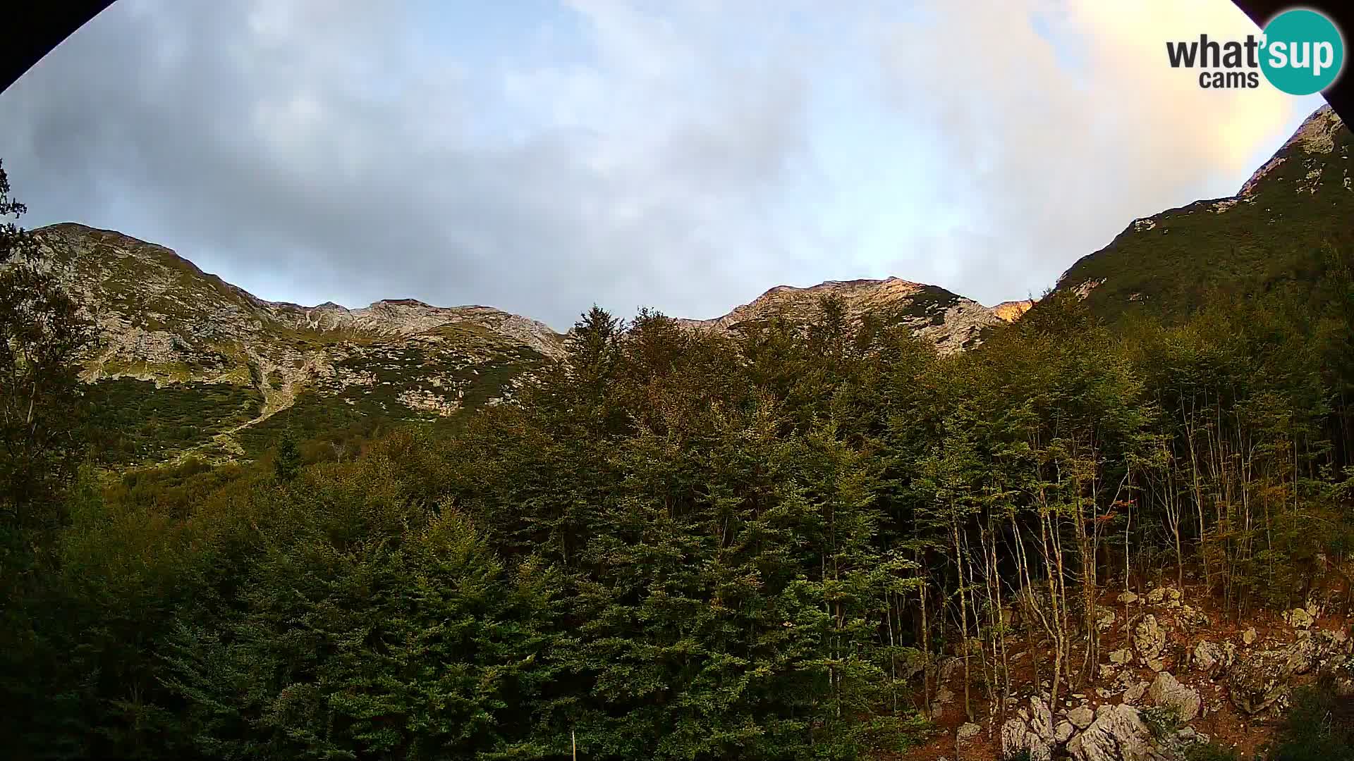 Webcam PLANINA RAZOR (1315) | Blick auf Vogel und Globoko