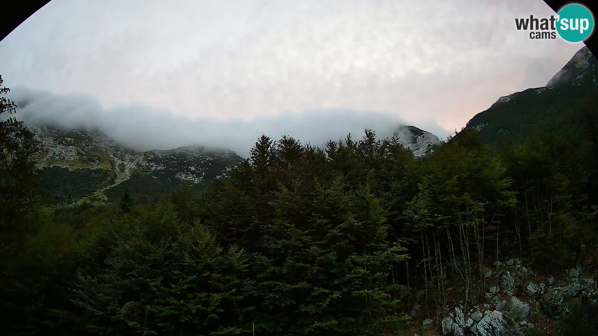 PLANINA RAZOR kamera (1315) | pogled na Vogel in Globoko