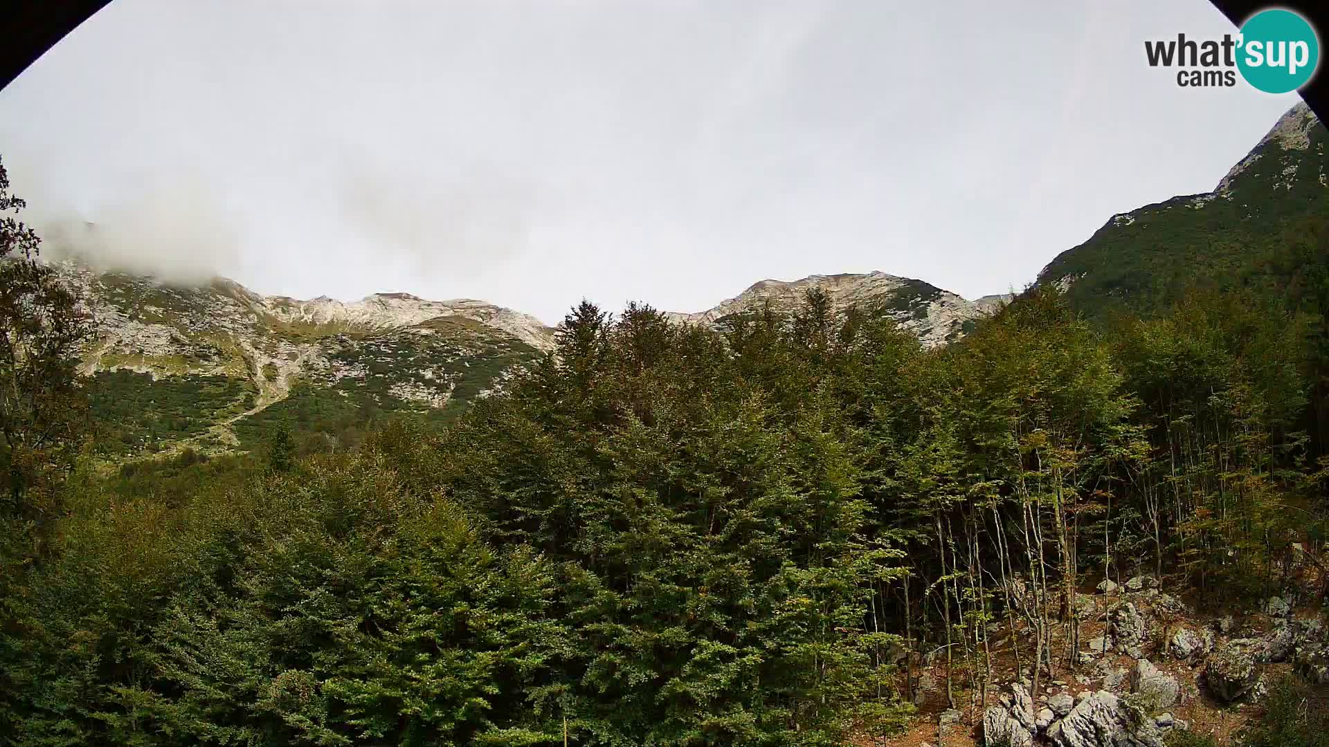 Webcam PLANINA RAZOR (1315) | Blick auf Vogel und Globoko