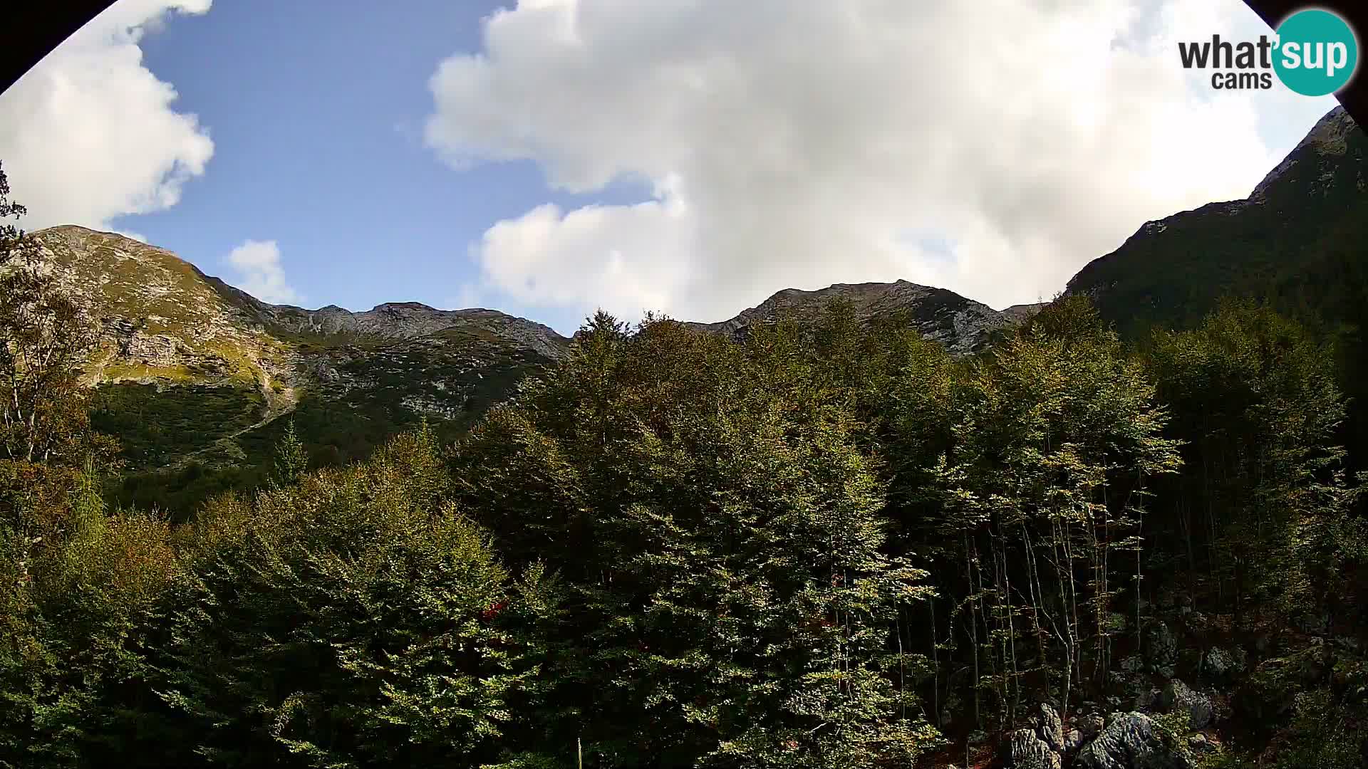 Webcam PLANINA RAZOR (1315) | Blick auf Vogel und Globoko