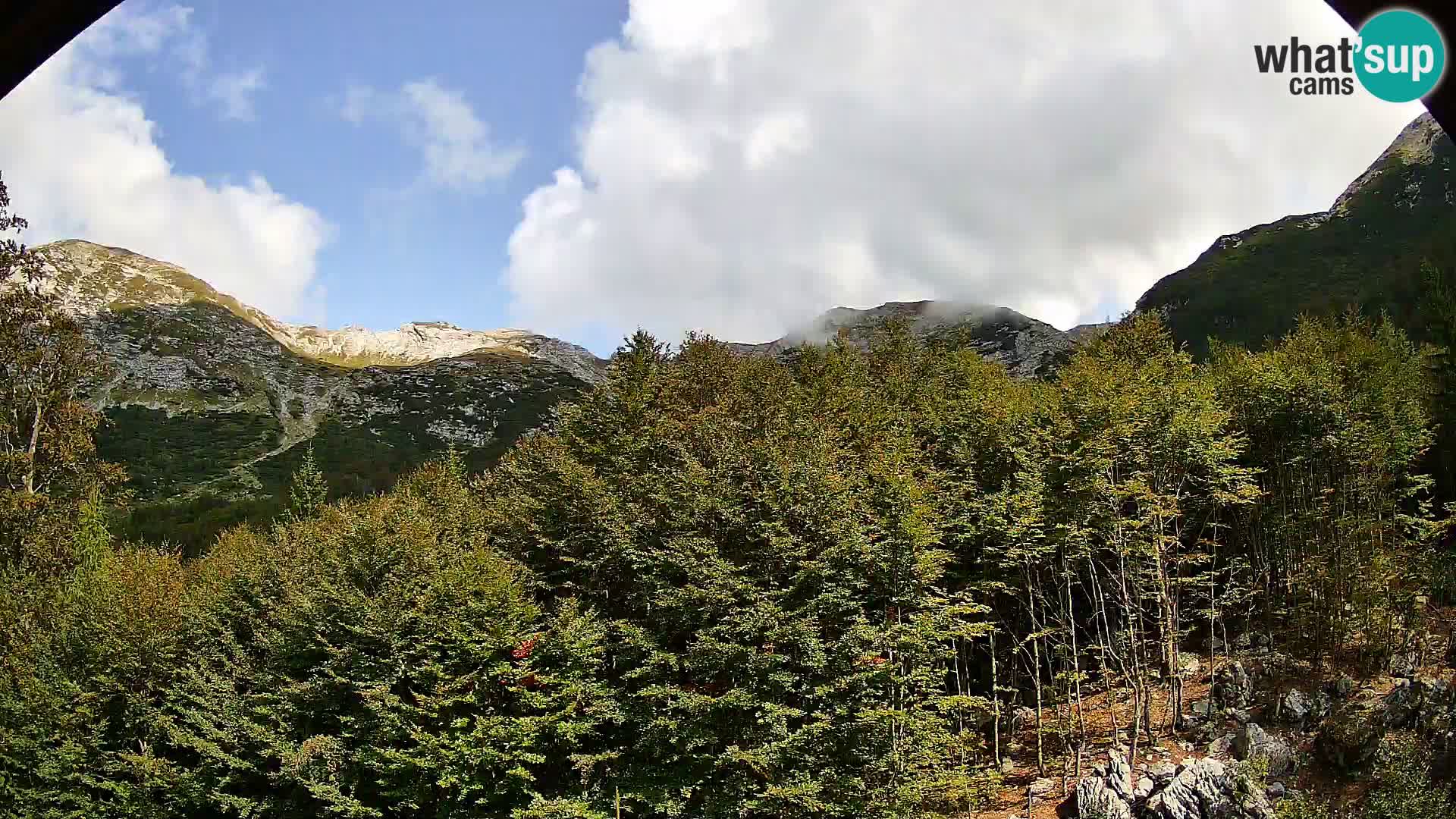 PLANINA RAZOR kamera (1315) | pogled na Vogel in Globoko