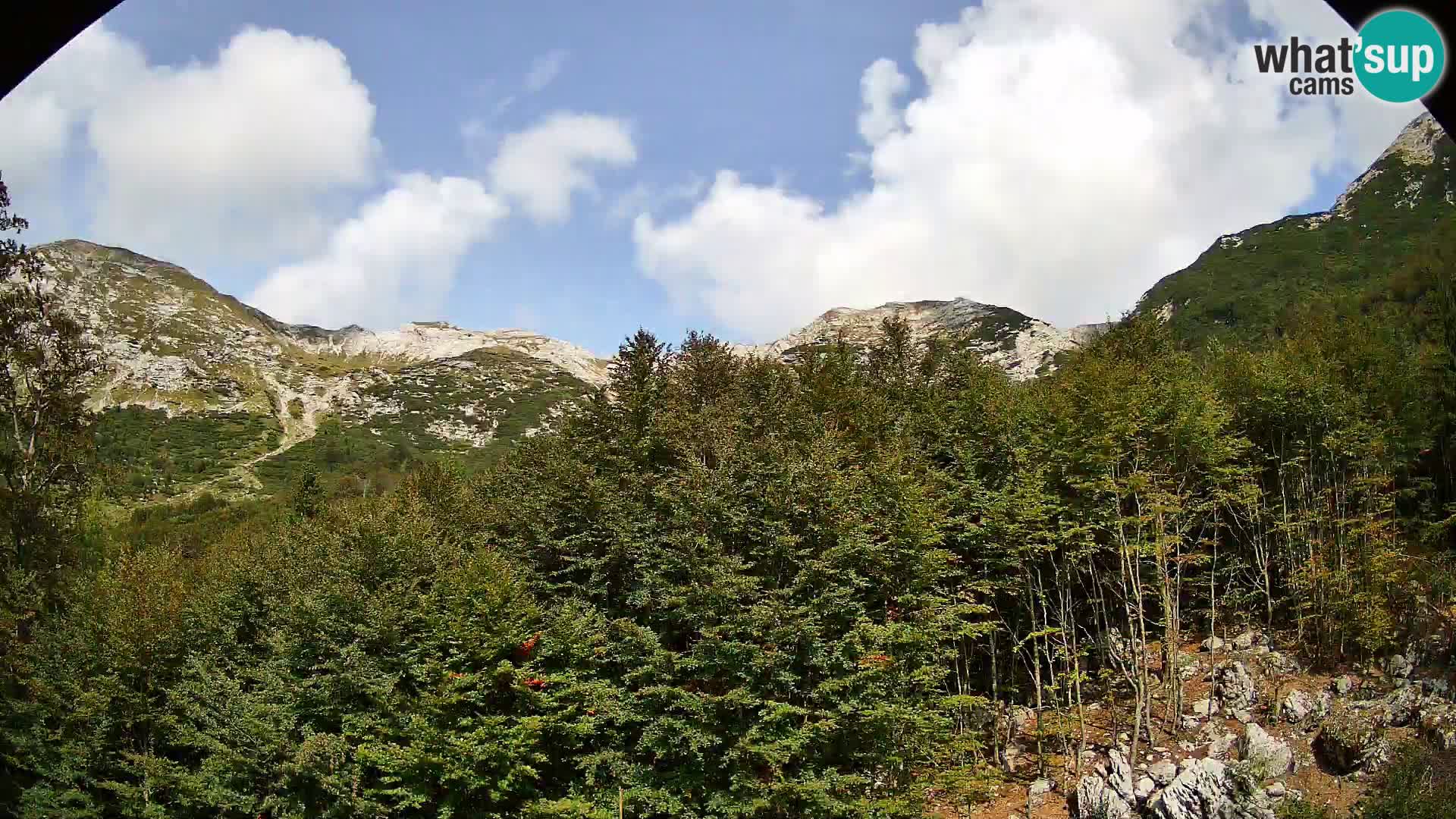 PLANINA RAZOR kamera (1315) | pogled na Vogel in Globoko