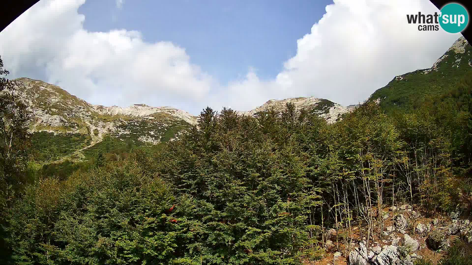 Cámara web PLANINA RAZOR (1315) | vista a Vogel y Globoko