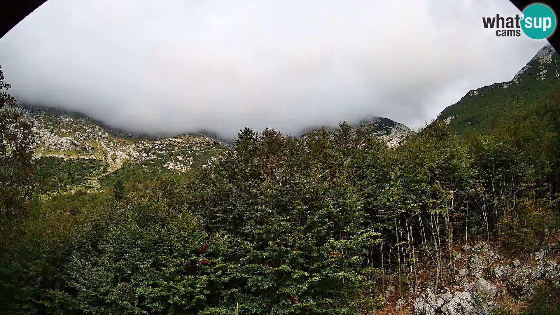 PLANINA RAZOR web kamera (1315) | pogled na Vogel i Globoko