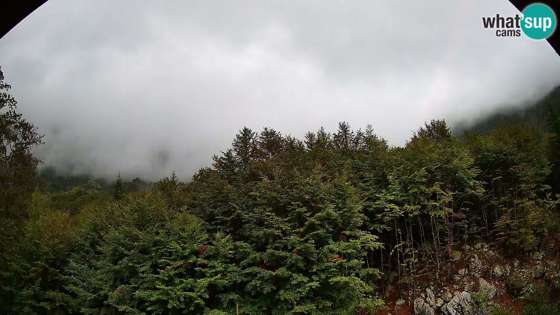 PLANINA RAZOR web kamera (1315) | pogled na Vogel i Globoko