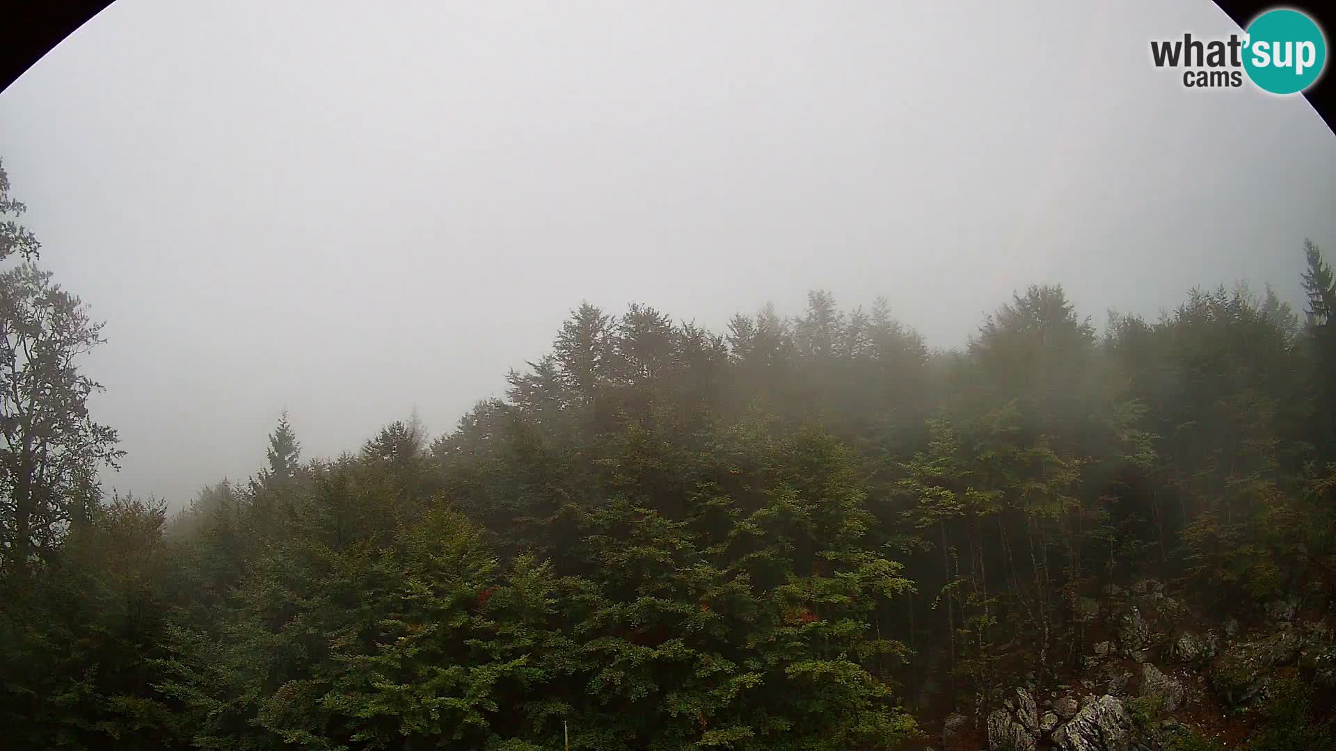 Webcam PLANINA RAZOR (1315) | Blick auf Vogel und Globoko