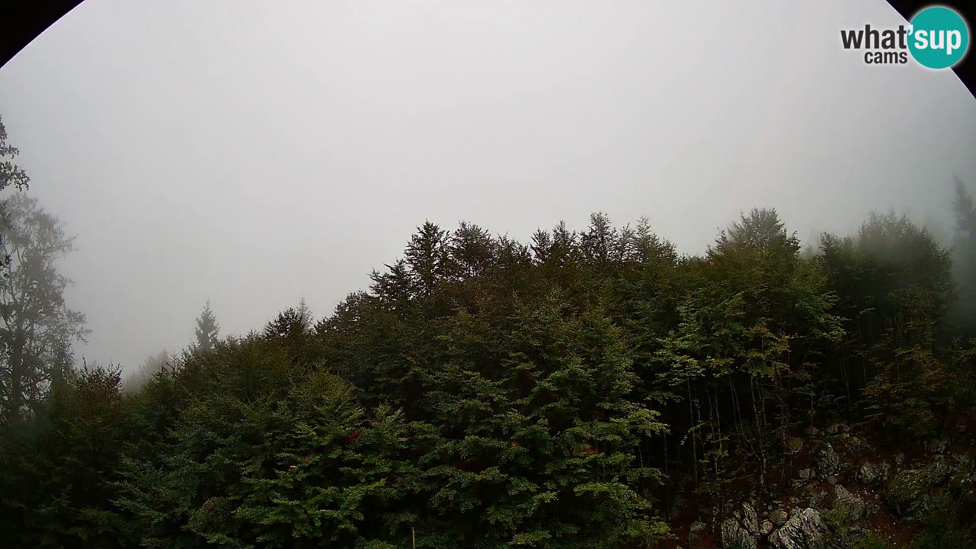 PLANINA RAZOR kamera (1315) | pogled na Vogel in Globoko