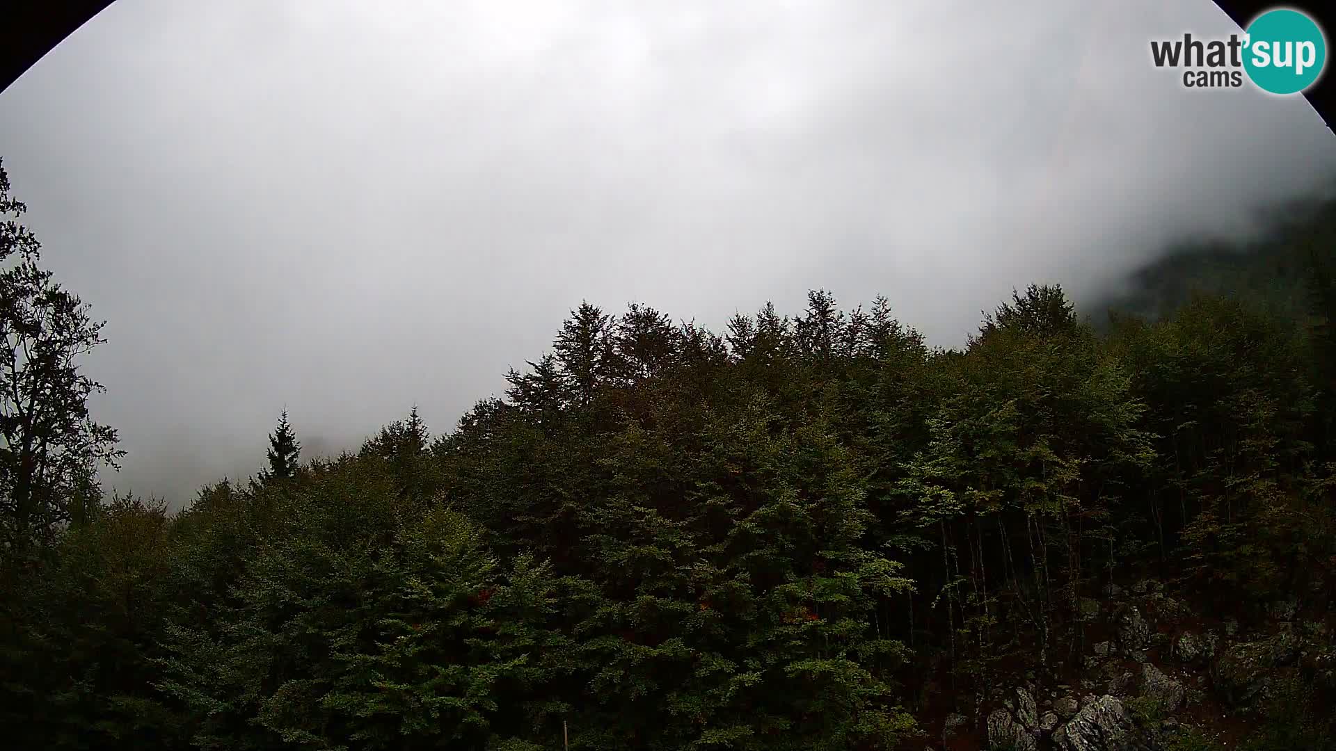 PLANINA RAZOR webcam (1315) | view to Vogel and Globoko