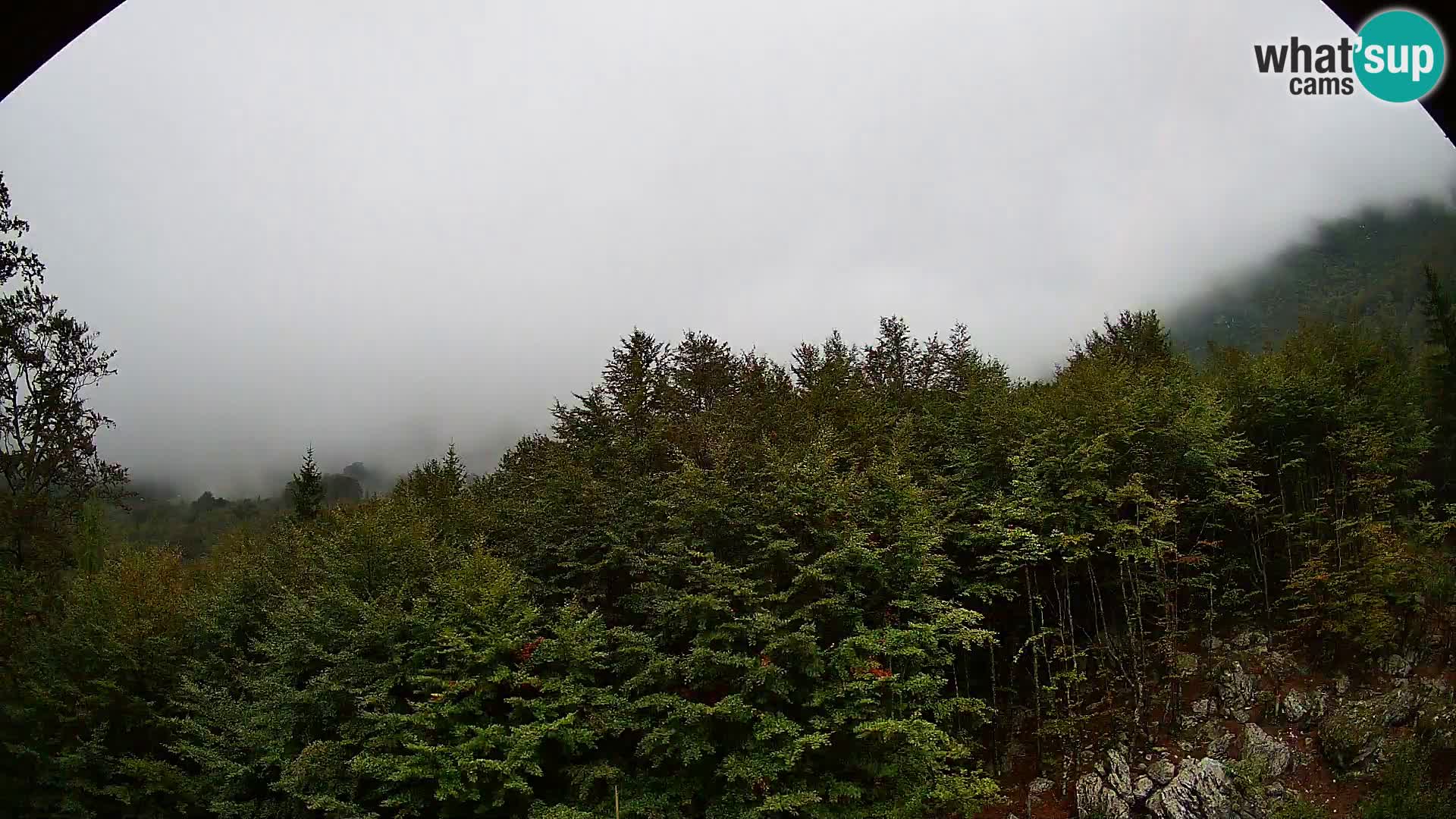 Webcam PLANINA RAZOR (1315) | Blick auf Vogel und Globoko