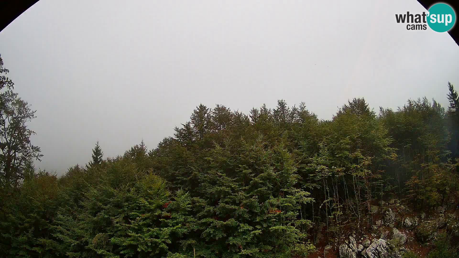 PLANINA RAZOR webcam (1315) | view to Vogel and Globoko