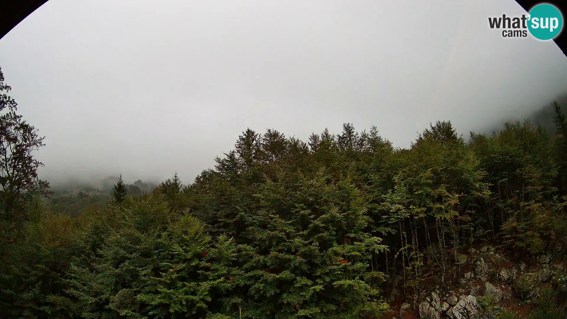Livecam PLANINA RAZOR (1315) | vue sur Vogel et Globoko