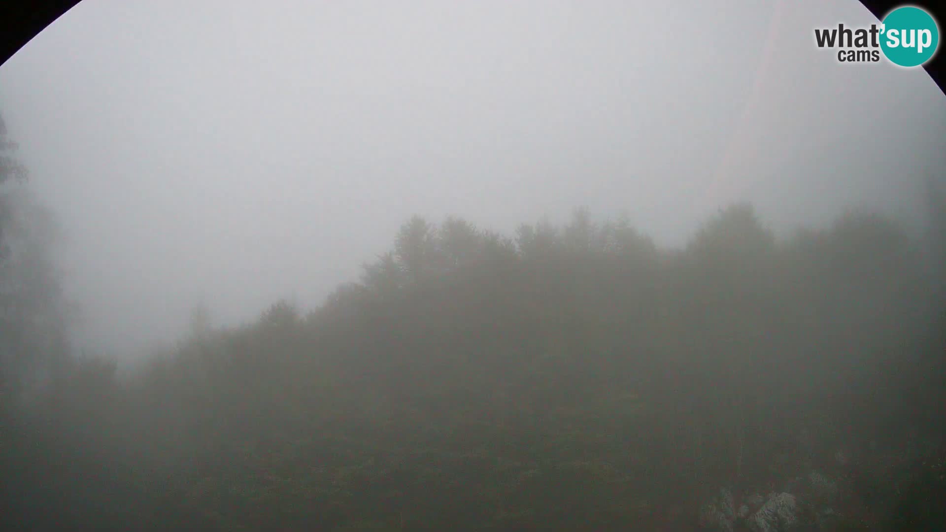 Webcam PLANINA RAZOR (1315) | Blick auf Vogel und Globoko