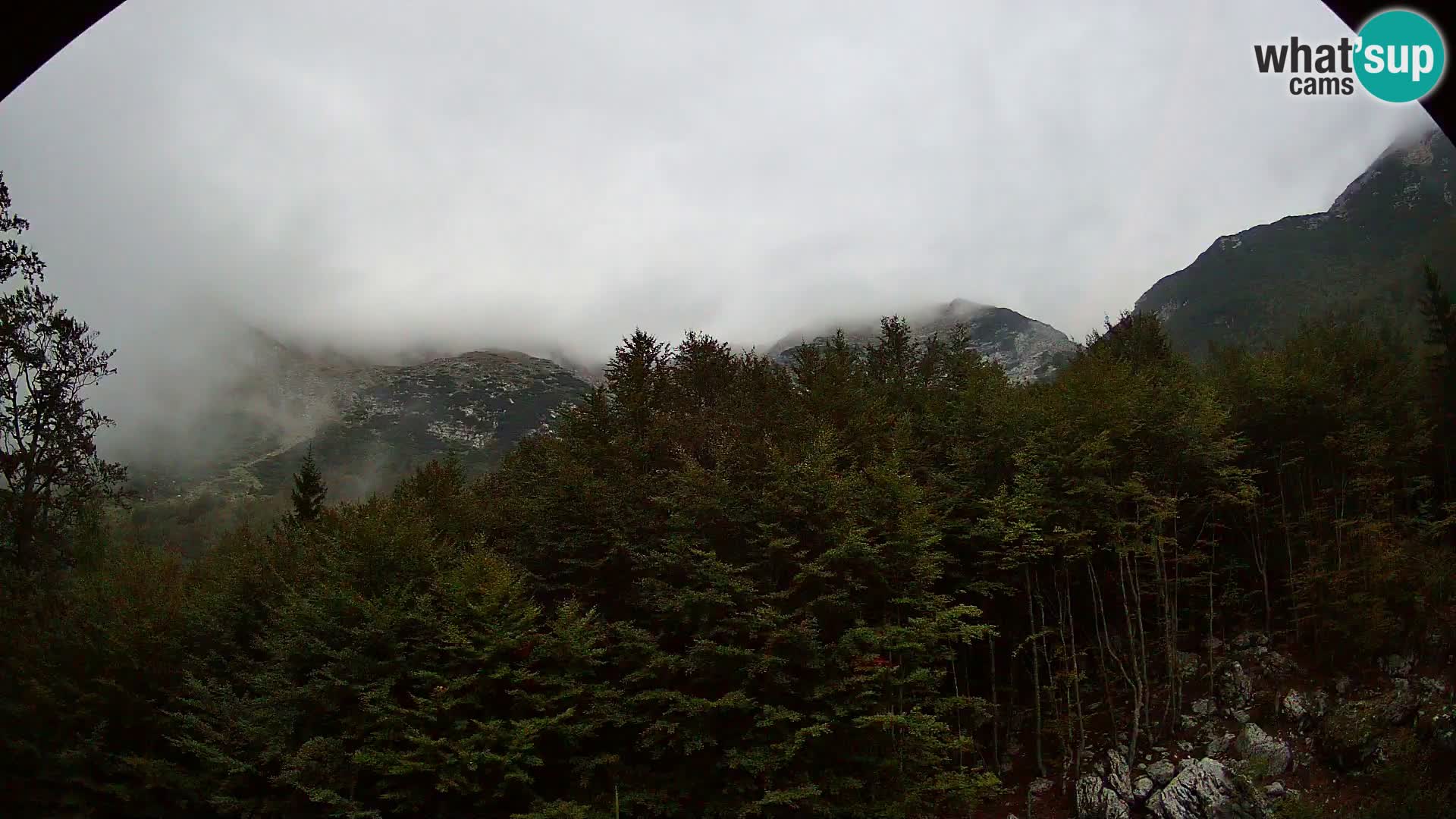 Livecam PLANINA RAZOR (1315) | vue sur Vogel et Globoko