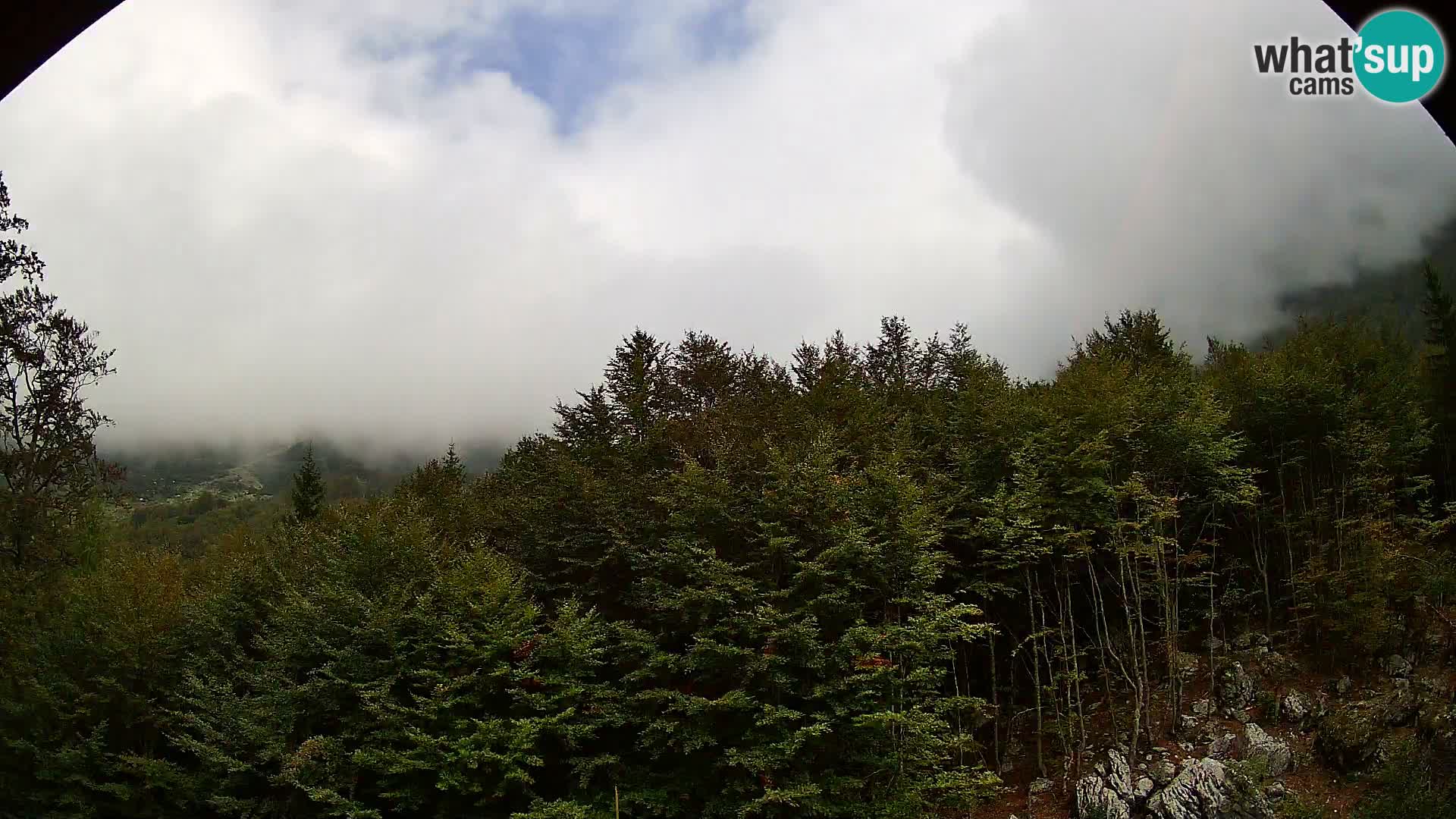 Webcam PLANINA RAZOR (1315) | Blick auf Vogel und Globoko