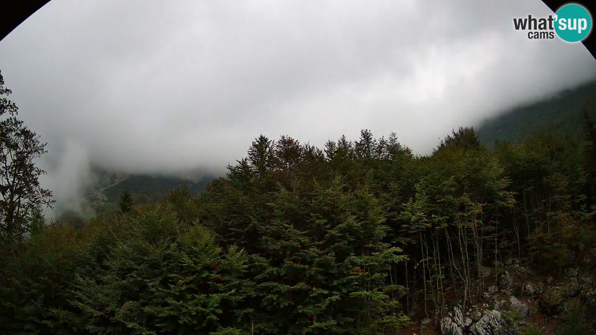 PLANINA RAZOR Live Cam (1315) | vista su Vogel e Globoko