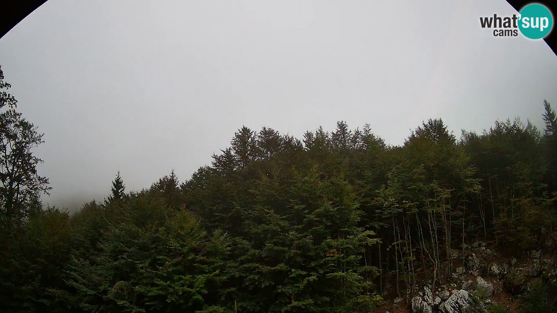 Livecam PLANINA RAZOR (1315) | vue sur Vogel et Globoko