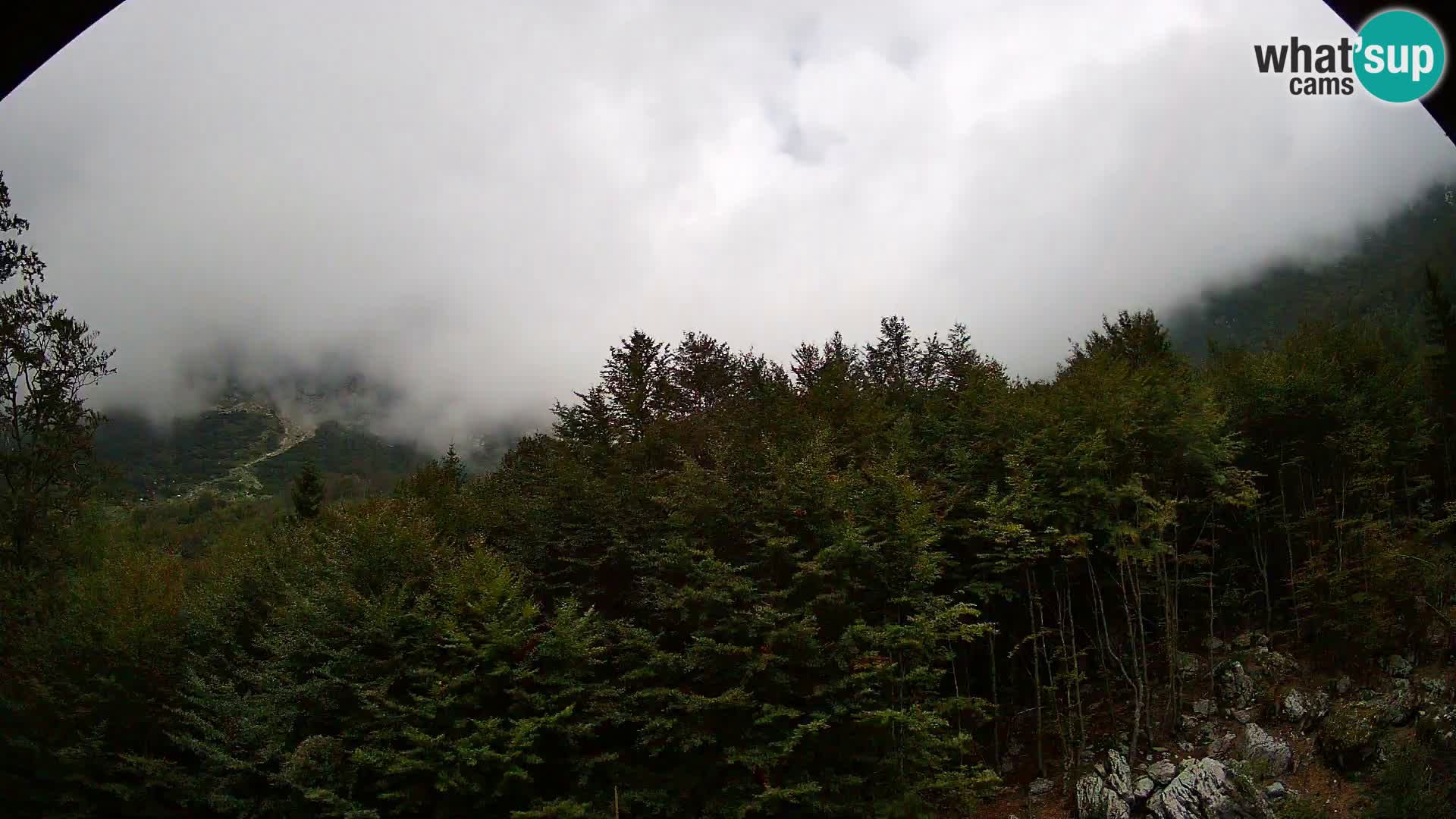 Livecam PLANINA RAZOR (1315) | vue sur Vogel et Globoko