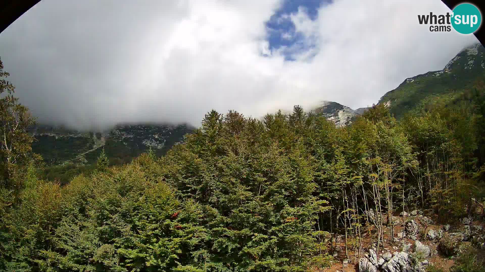 PLANINA RAZOR web kamera (1315) | pogled na Vogel i Globoko