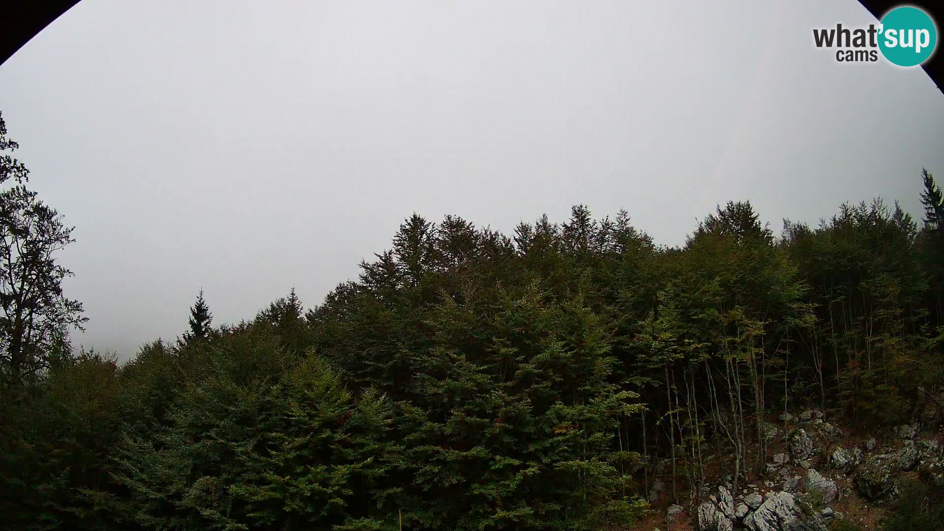 PLANINA RAZOR kamera (1315) | pogled na Vogel in Globoko