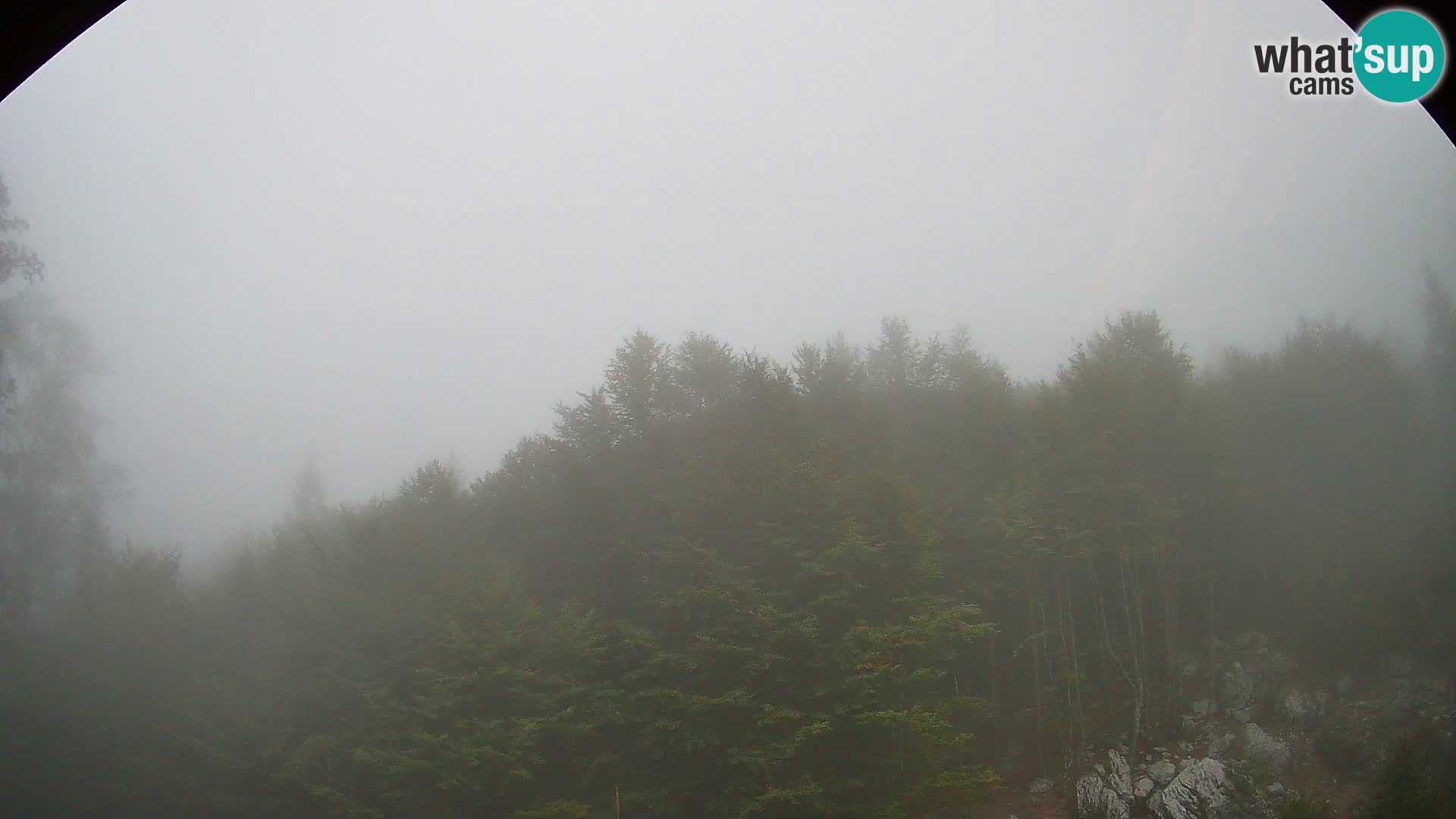 Livecam PLANINA RAZOR (1315) | vue sur Vogel et Globoko