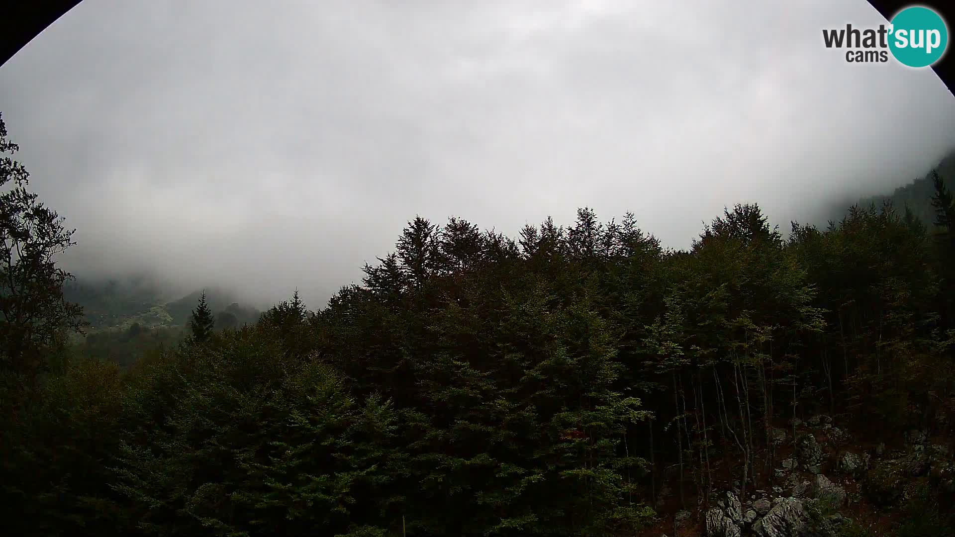 Webcam PLANINA RAZOR (1315) | Blick auf Vogel und Globoko