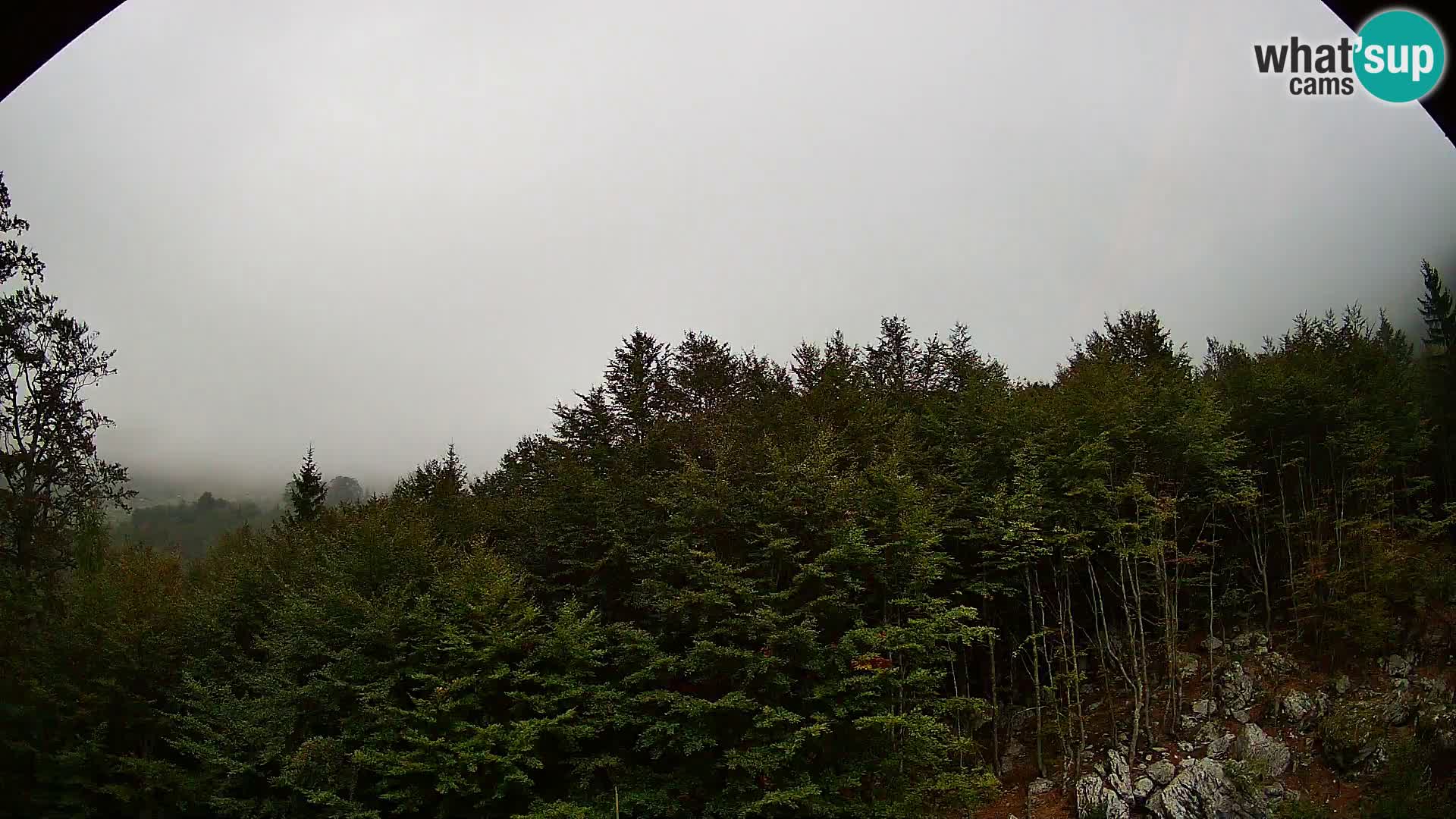 Livecam PLANINA RAZOR (1315) | vue sur Vogel et Globoko