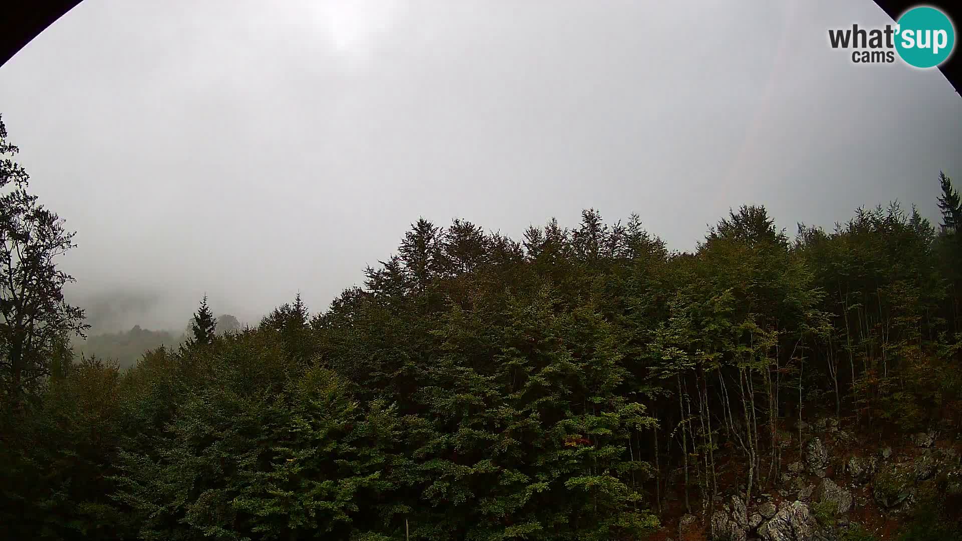 Webcam PLANINA RAZOR (1315) | Blick auf Vogel und Globoko