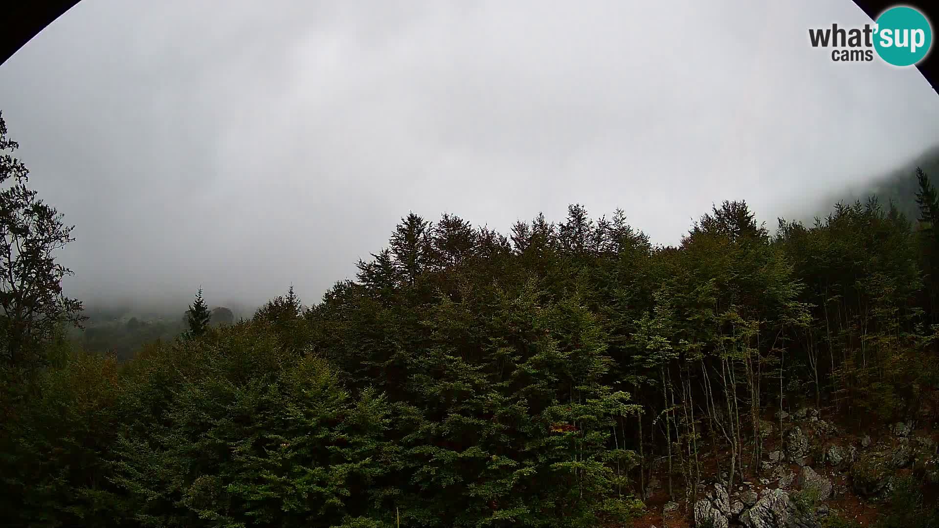 Livecam PLANINA RAZOR (1315) | vue sur Vogel et Globoko