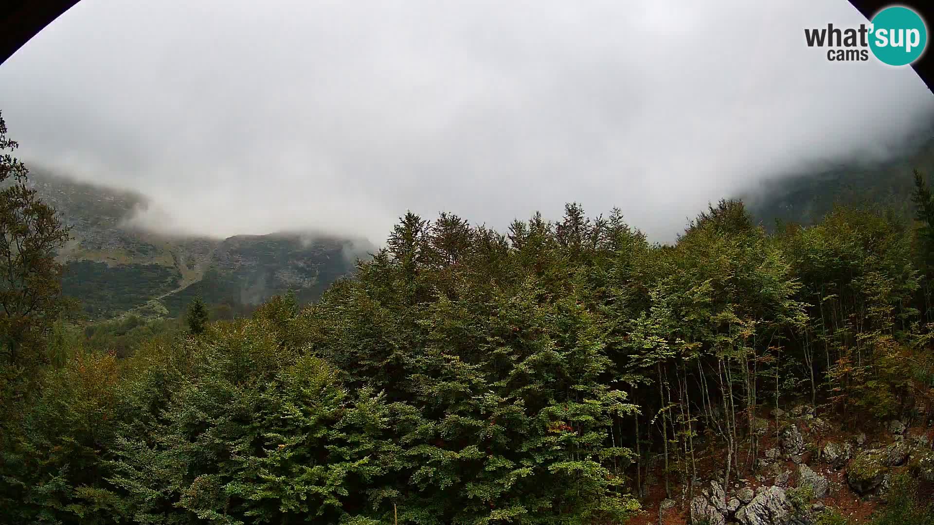 Livecam PLANINA RAZOR (1315) | vue sur Vogel et Globoko