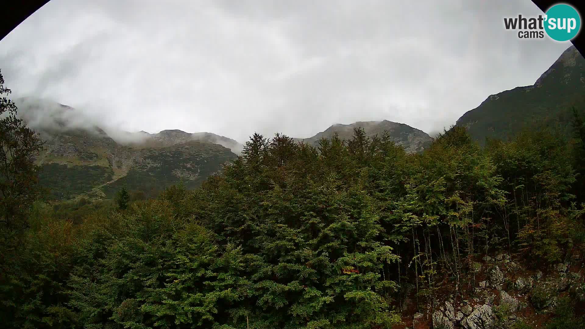 Webcam PLANINA RAZOR (1315) | Blick auf Vogel und Globoko