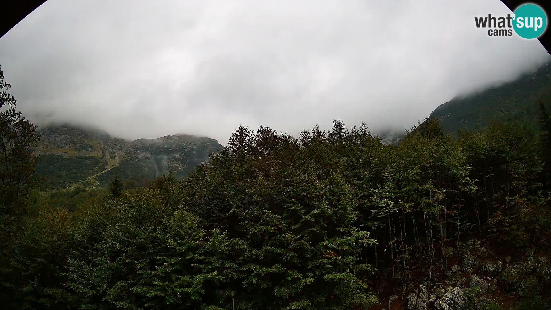 Webcam PLANINA RAZOR (1315) | Blick auf Vogel und Globoko