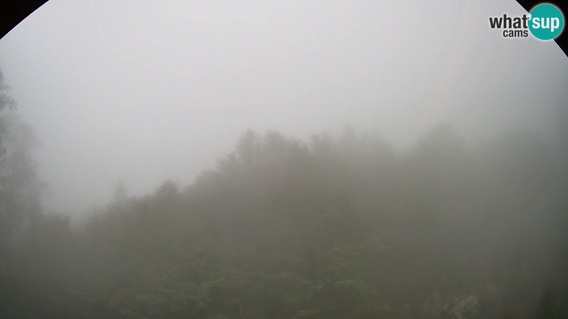 Webcam PLANINA RAZOR (1315) | Blick auf Vogel und Globoko