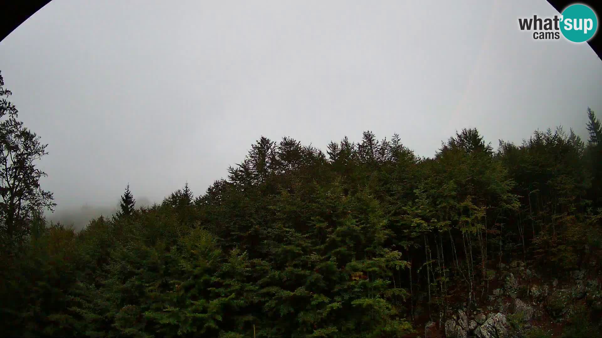 Webcam PLANINA RAZOR (1315) | Blick auf Vogel und Globoko