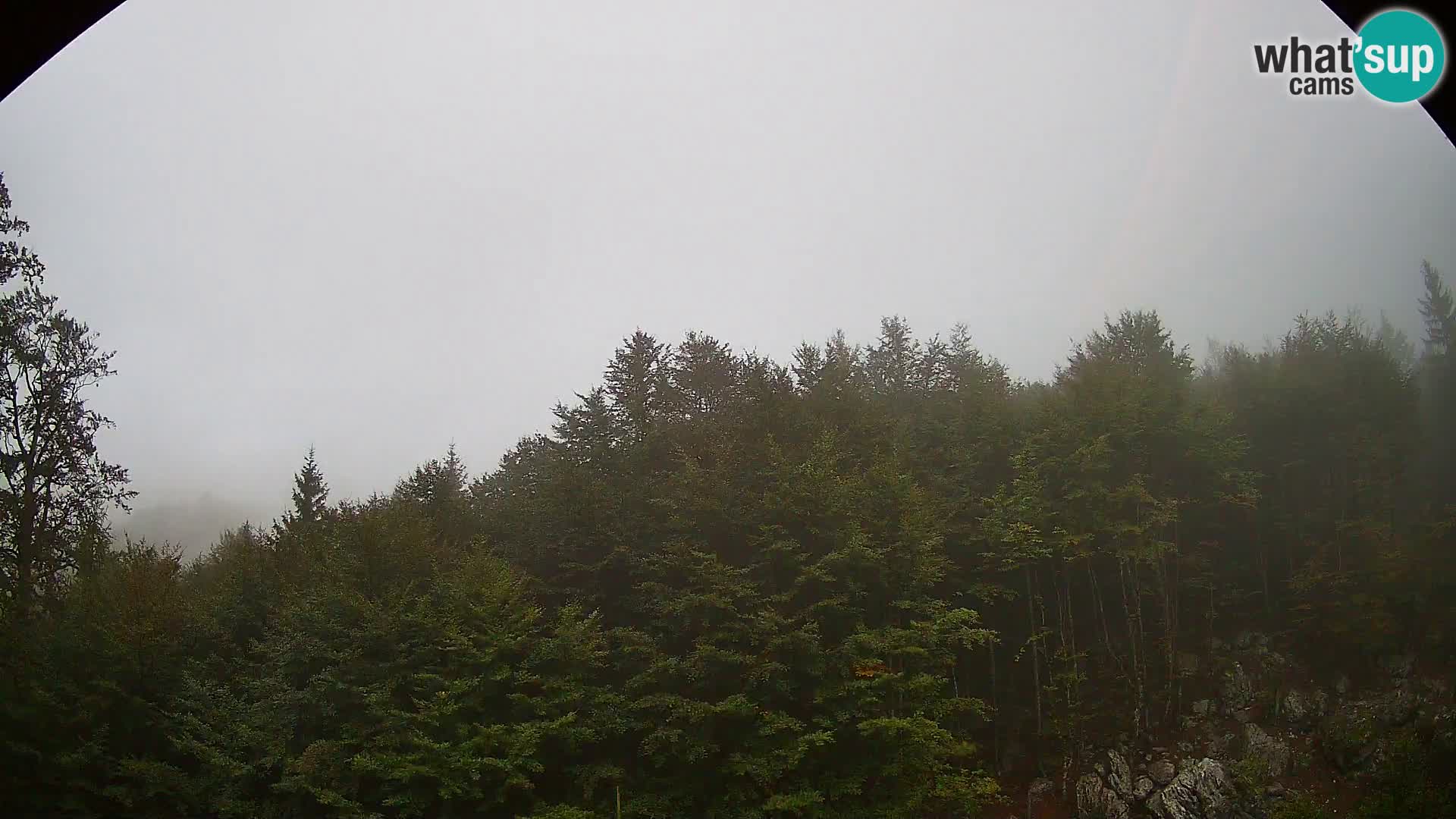 PLANINA RAZOR Live Cam (1315) | vista su Vogel e Globoko