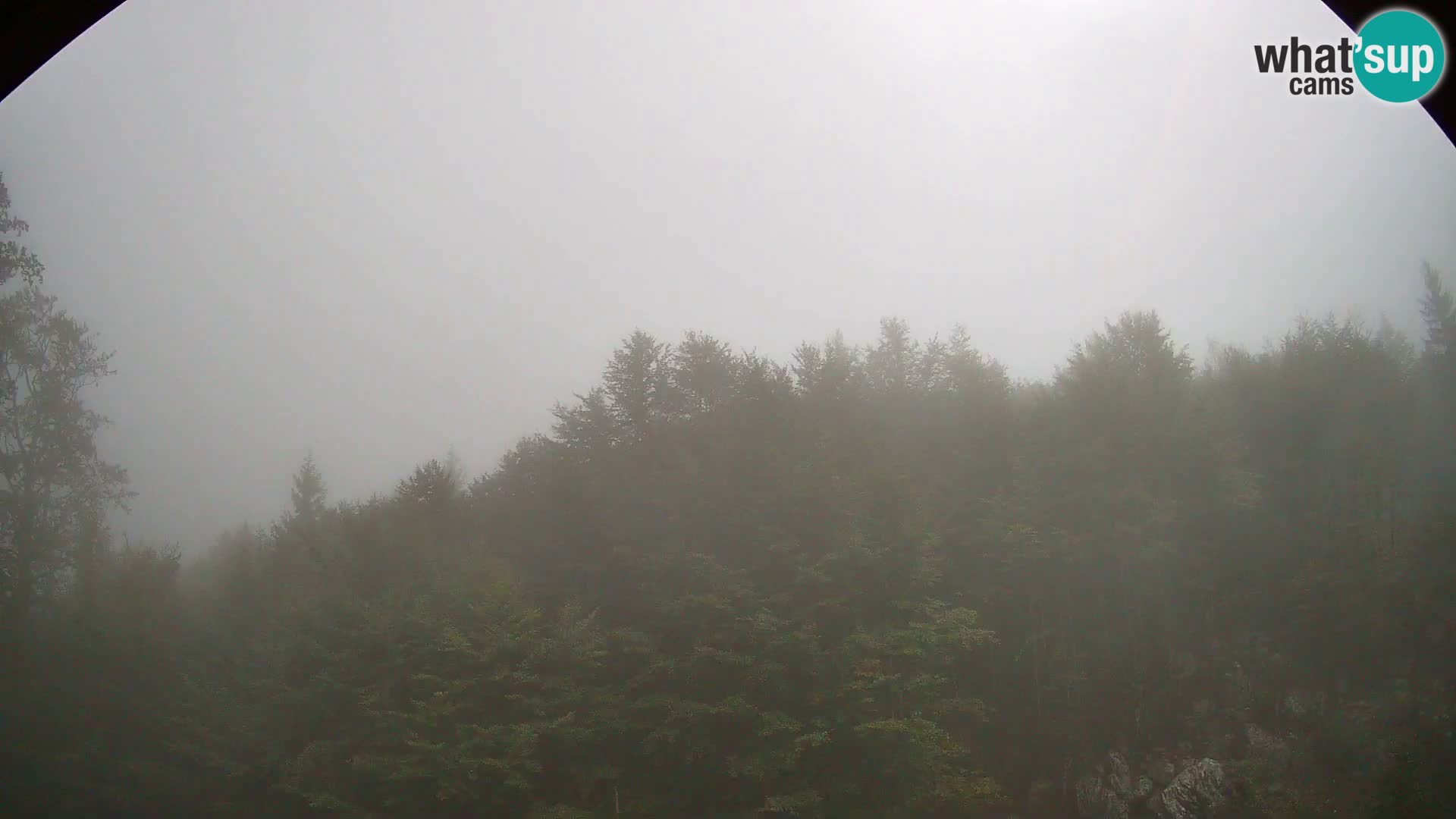 PLANINA RAZOR kamera (1315) | pogled na Vogel in Globoko