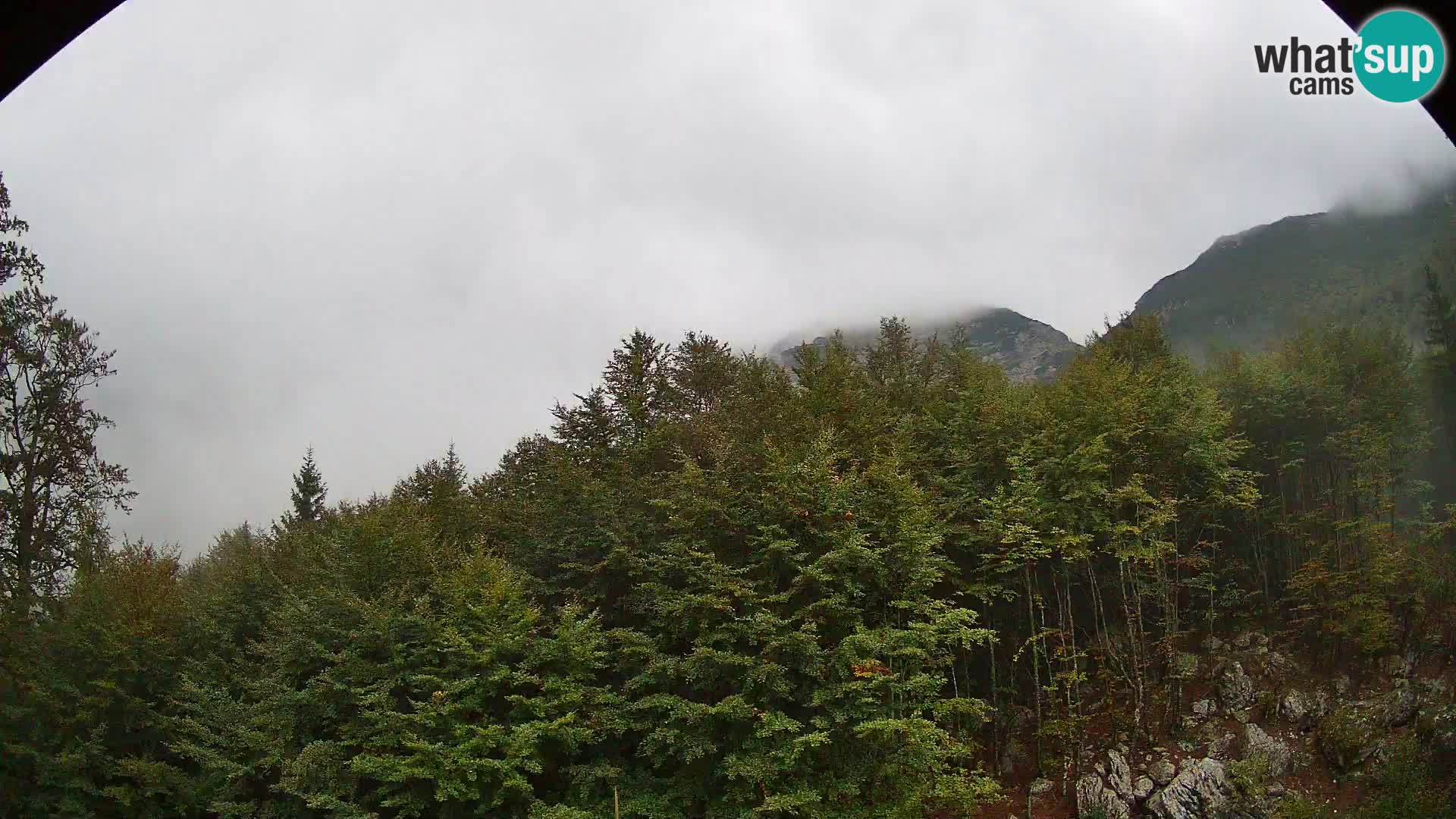 Livecam PLANINA RAZOR (1315) | vue sur Vogel et Globoko