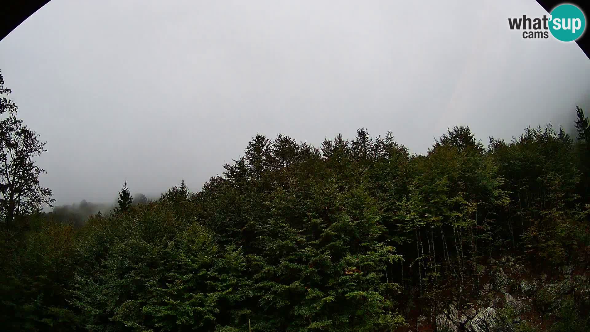 PLANINA RAZOR web kamera (1315) | pogled na Vogel i Globoko